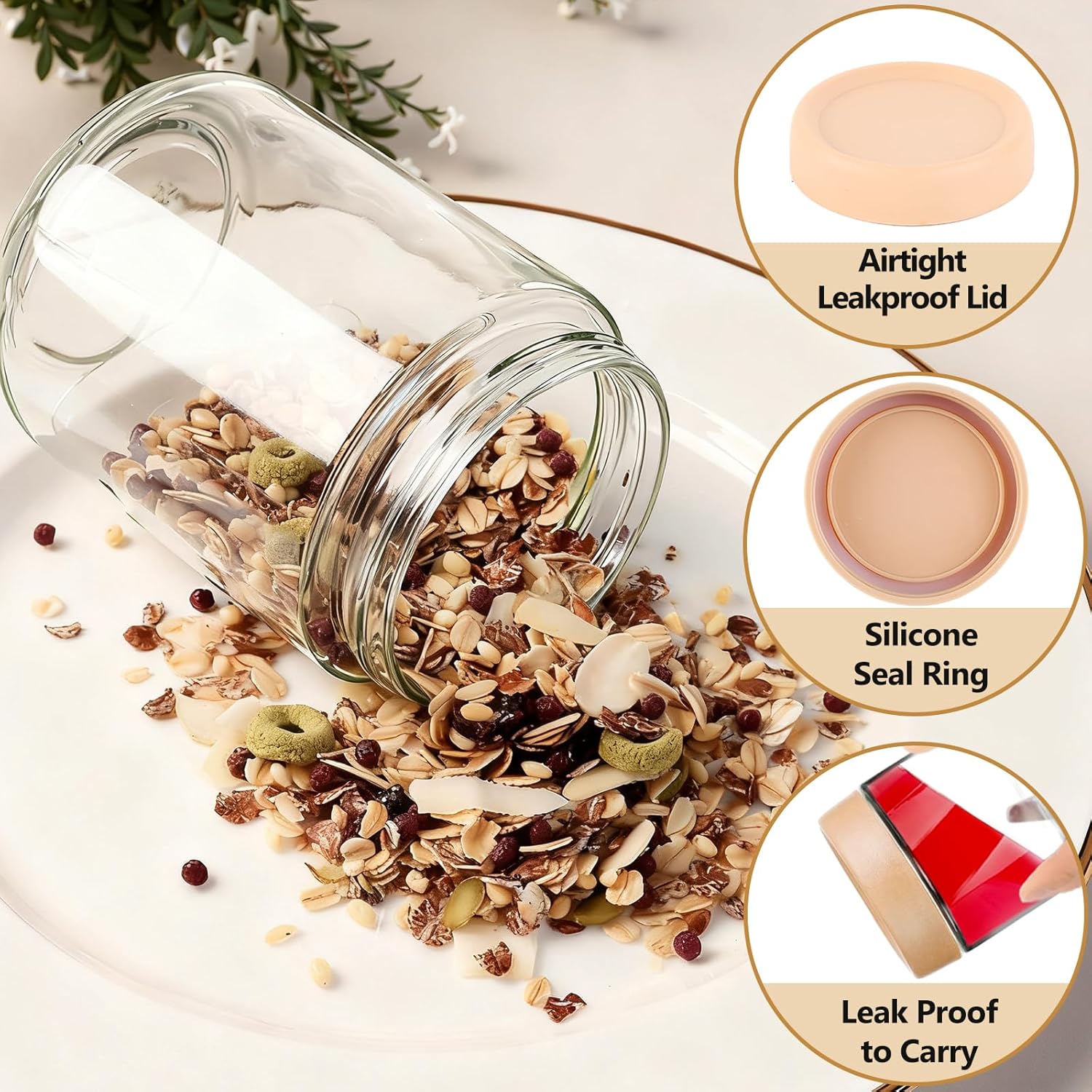 12 Pack Overnight Oats Contain - Food Storage Jars Plastic 评论和价格