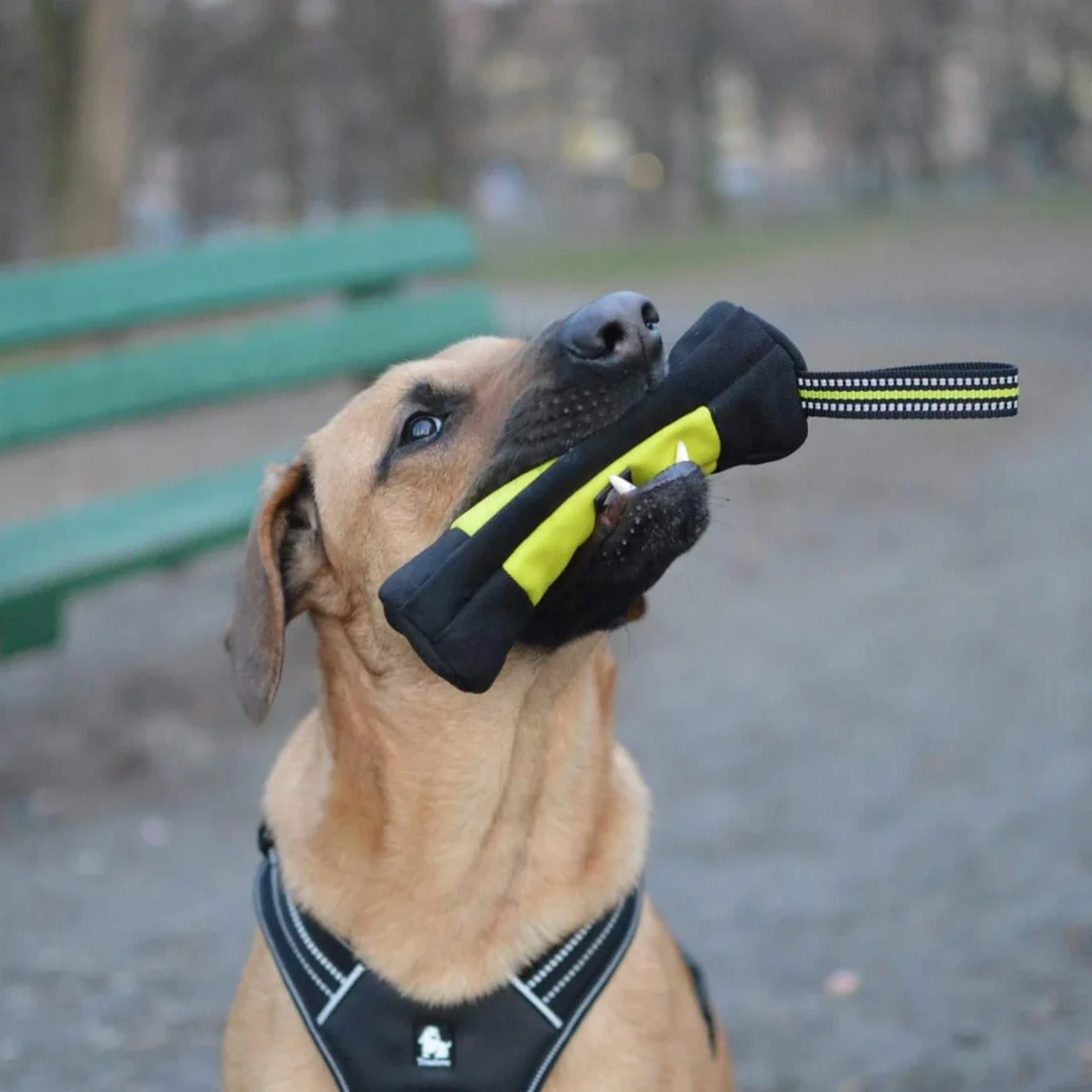Truelove Dog Training Retrieve - Food Storage Roll Bags 评论和价格