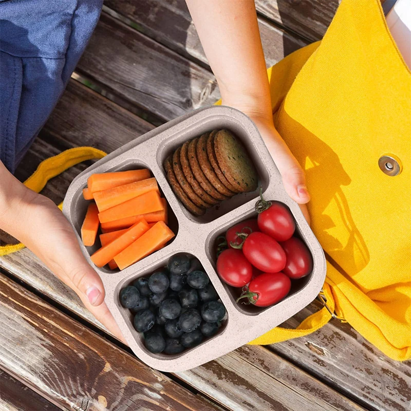 4 Grids Food Storage Box Porta - Food Storage Plastic Boxes 评论和价格