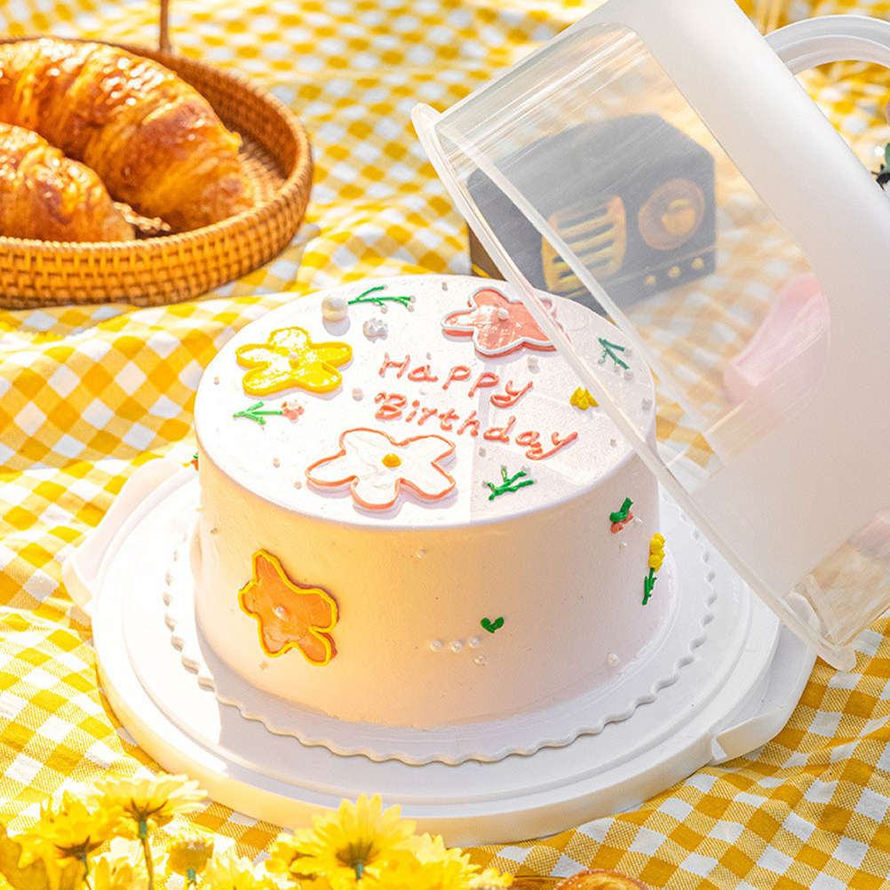 Cake Storage Box 10 Inch Round - Food Storage Plastic Boxes 评论和价格